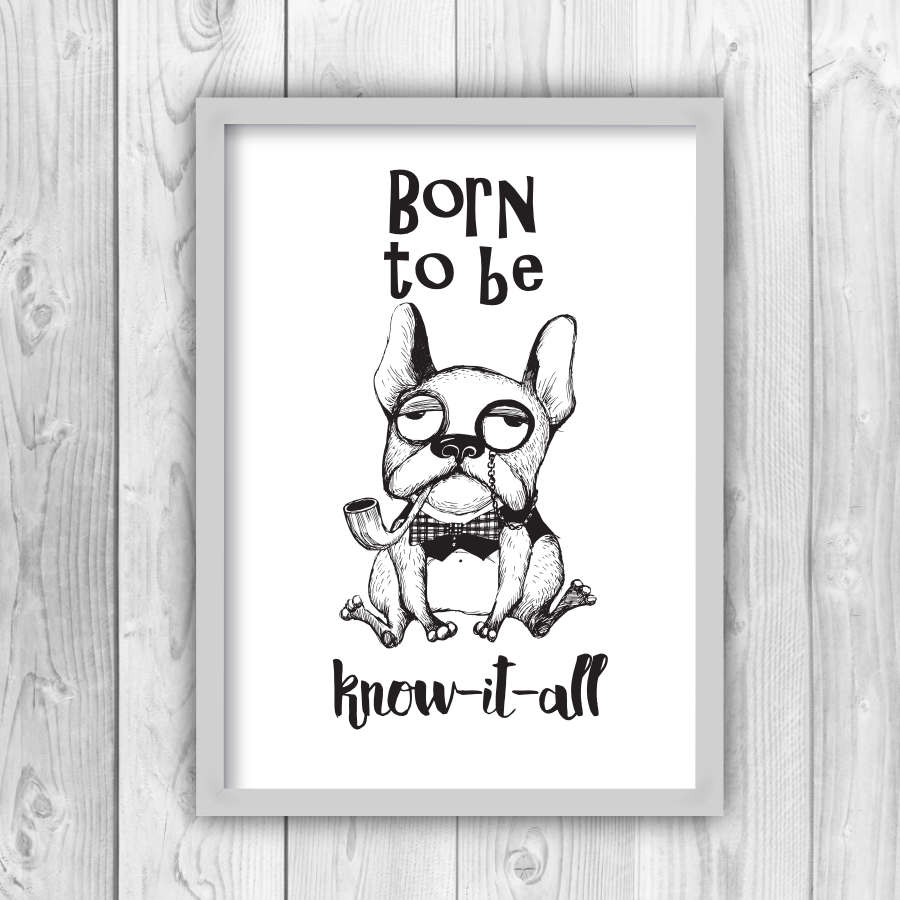 Born To Be Know It All English Bull Dog Print