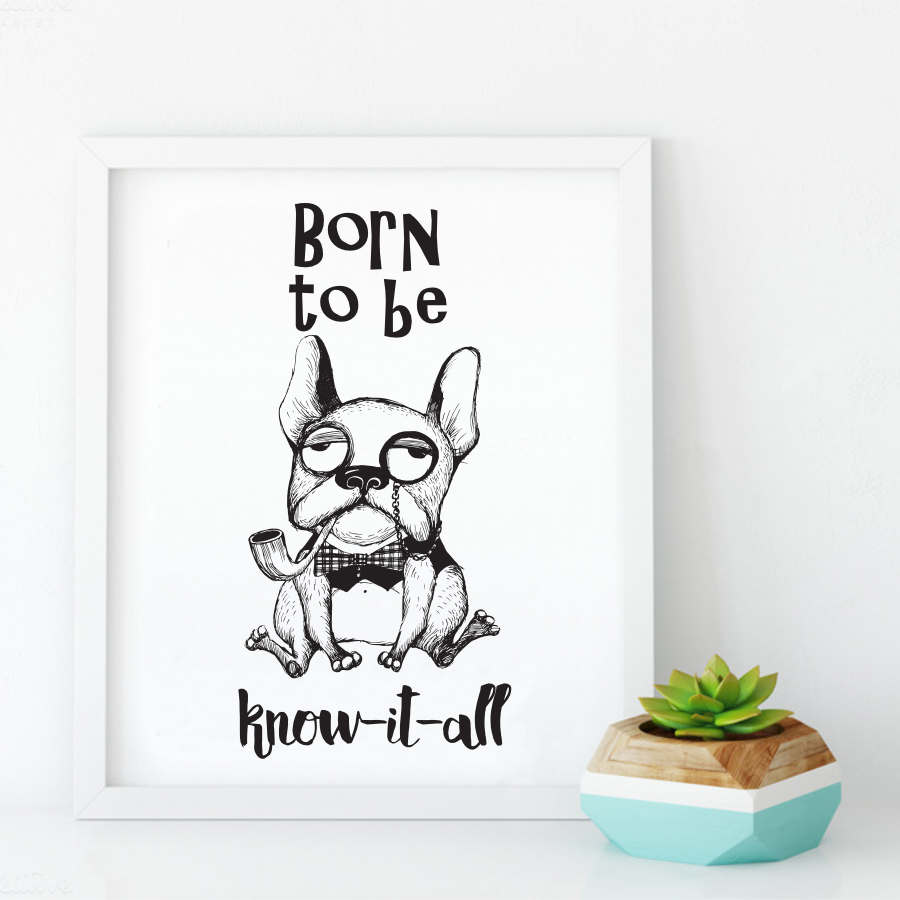 Born To Be Know It All English Bull Dog Print